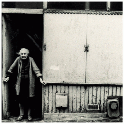 Sundays : Free at Loss